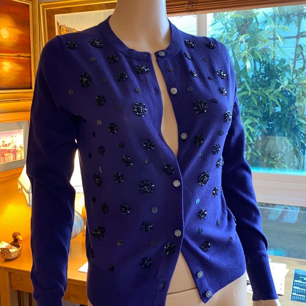 Beautiful cardigan by J Crews.